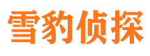 鲤城侦探公司